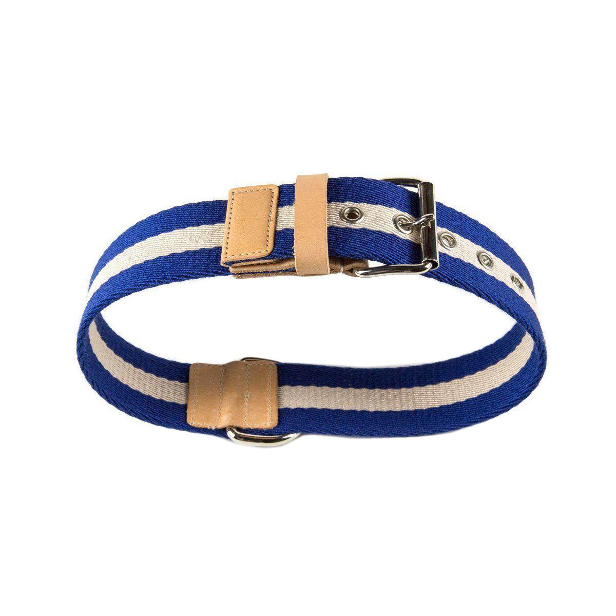 Blue and Cream Tape Large Dog Collar