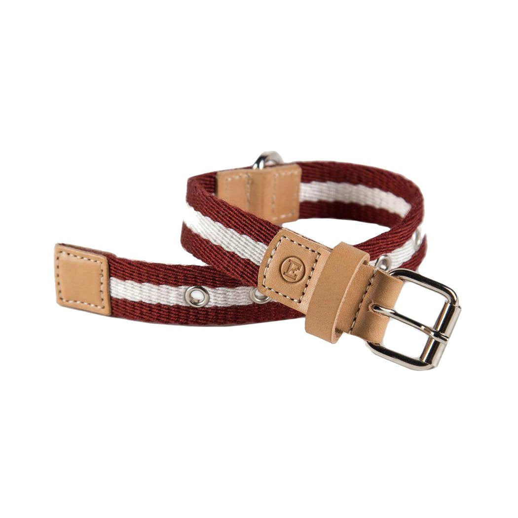 Bordeaux And Cream Tape Small Dog Collar