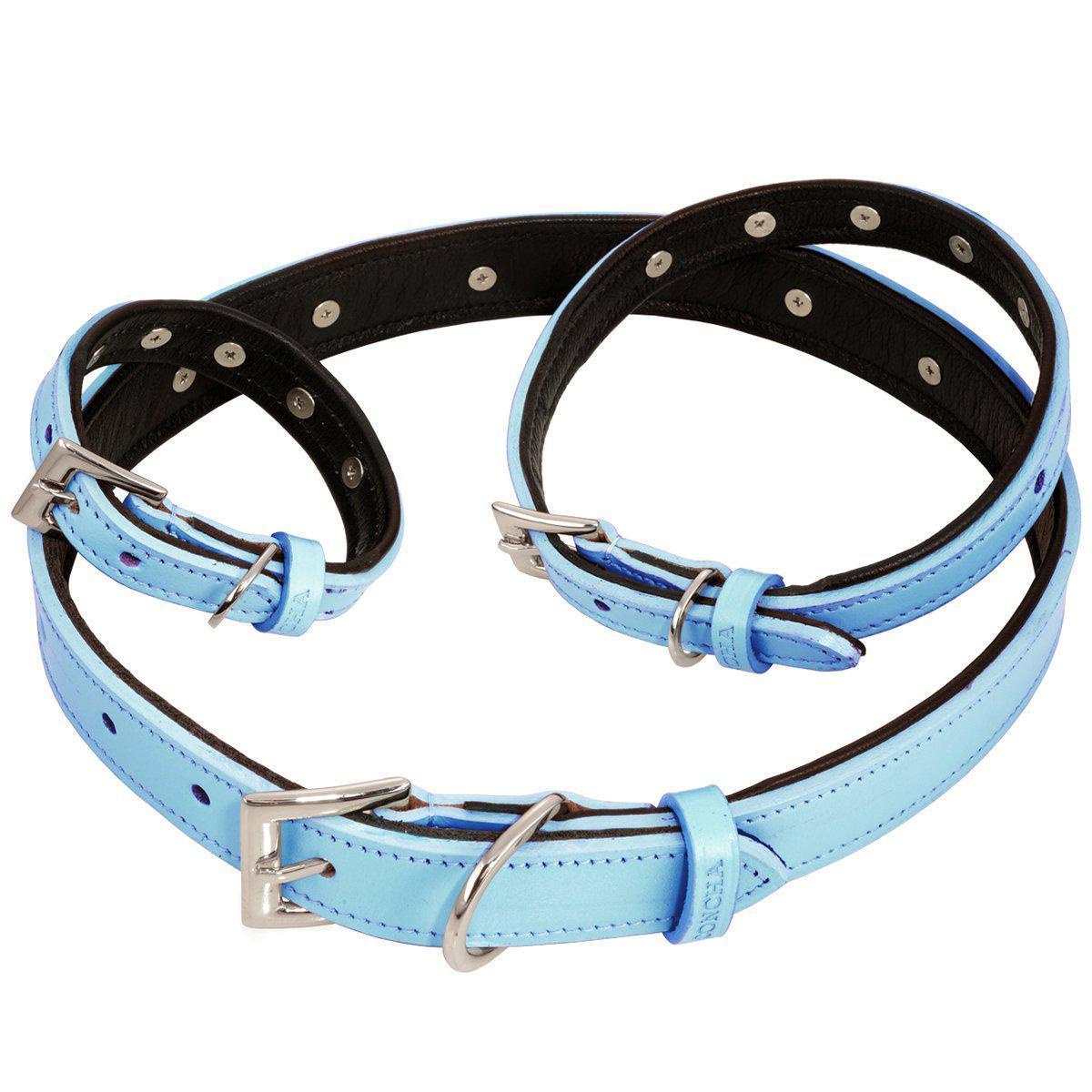 Customizable Charm Leather Dog Collar Aqua