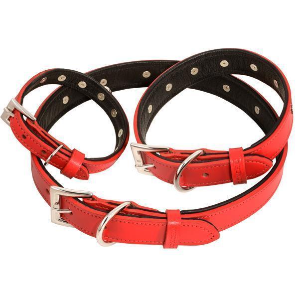 Customizable Charm Leather Dog Collar Red