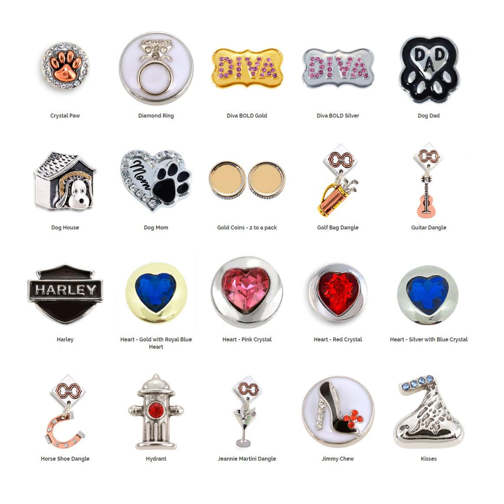 Customizable Charm Leather Dog Leash