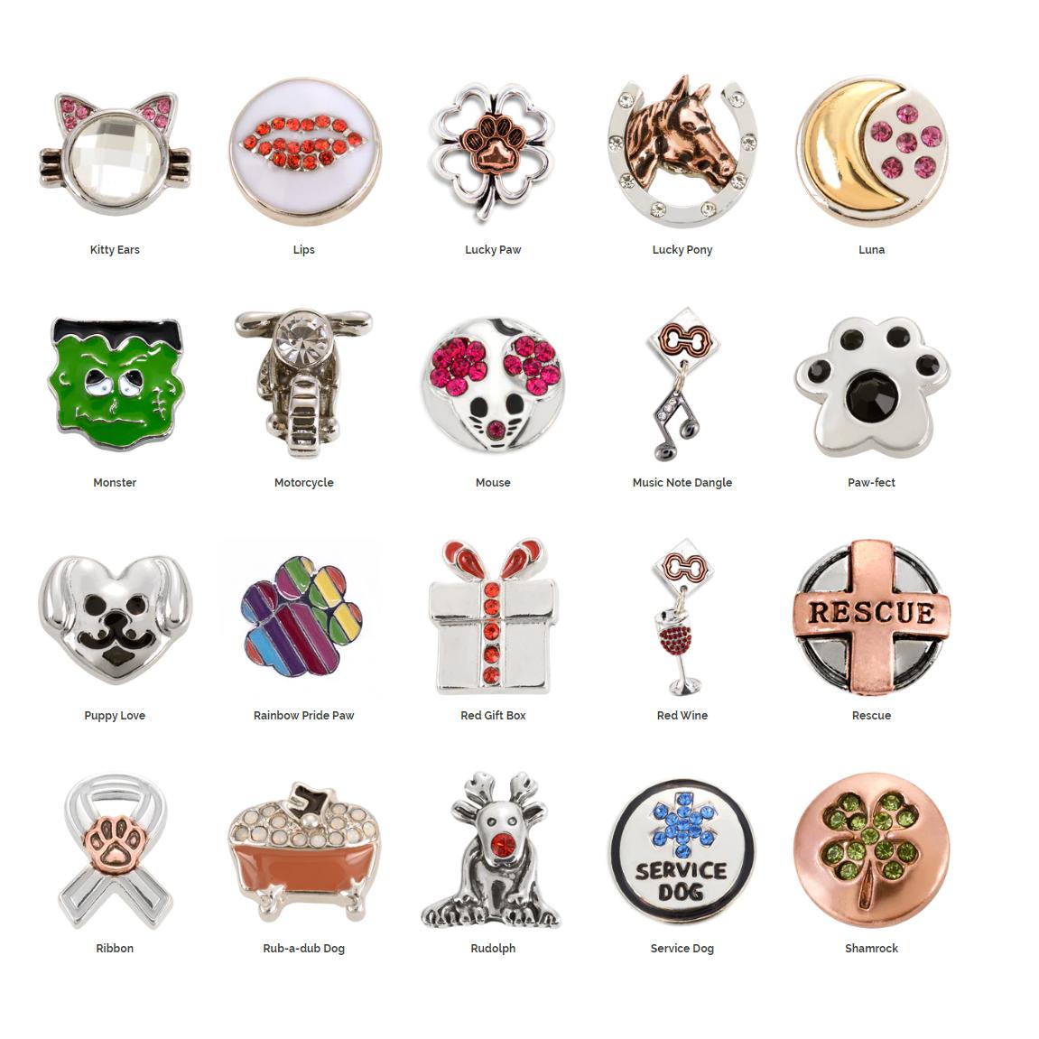 Customizable Charm Leather Dog Leash