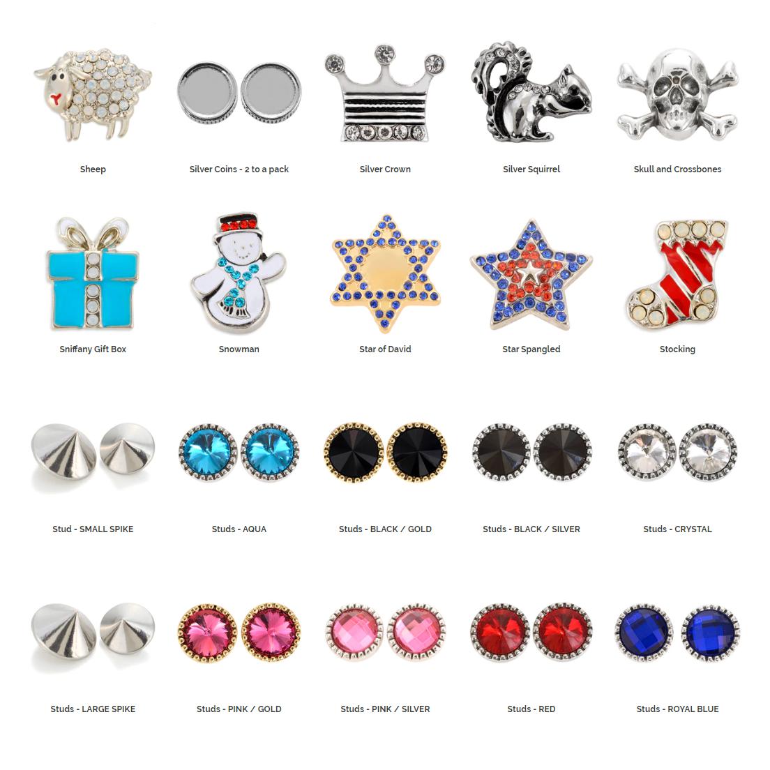 Customizable Charm Leather Dog Leash