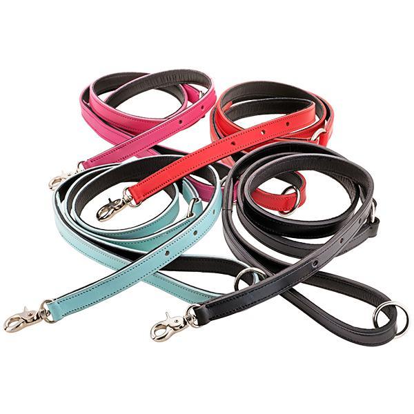 Customizable Charm Leather Dog Leash