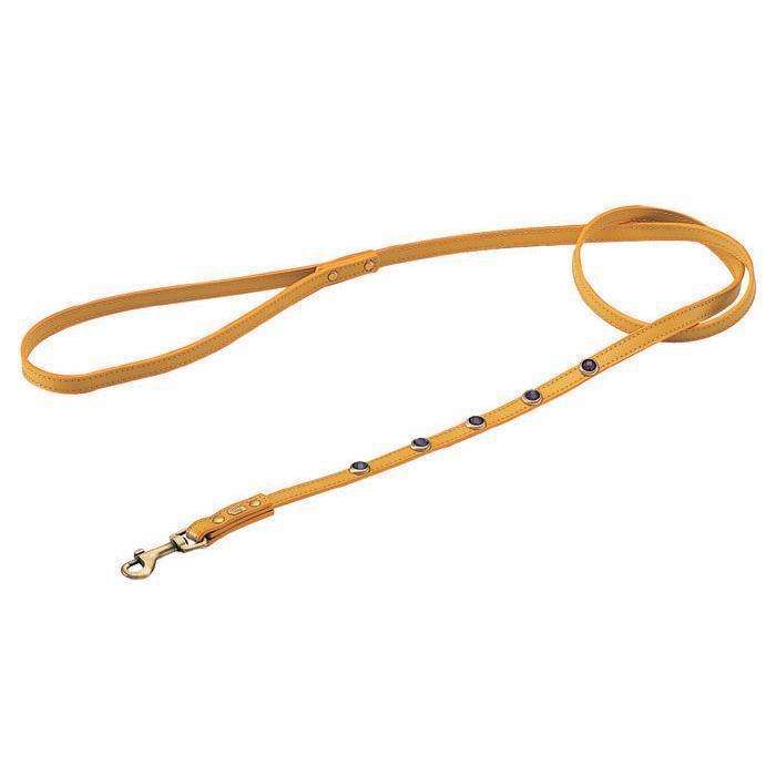 Pebbies Amethyst Dog Leash