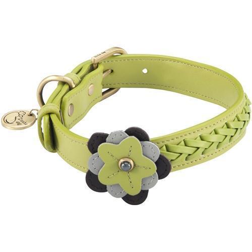 Petal Green Orchid Dog Collar
