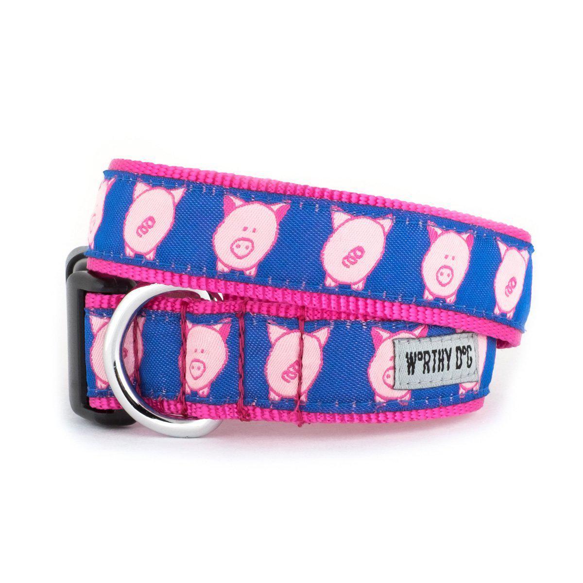 Wilbur The Pig Dog Collar